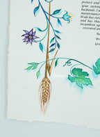 Ketubah "Seven Spices"