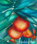 Birkat Habayit- Blessing for the home with Talmud verse "Abondance" Hebrew or English Version